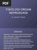 Download Fisiologi Organ Reproduksi by elly nurus SN19074902 doc pdf