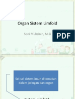 Organ Sistem Limfoid