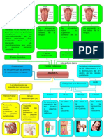 Mapa Mental Del Tema Gusto