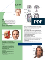 Parálisis Facial en Jóvenes de 16-20 Años