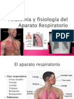 Sistema Respiratorio