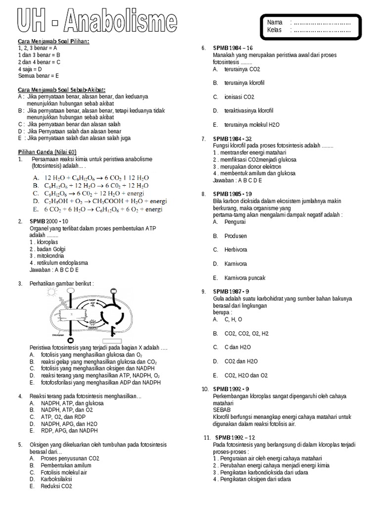 Kumpulan Soal Materi Anabolisme (Fotosintesis) PDF