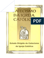 Estudo Catecismo  1 tema nº 26-49