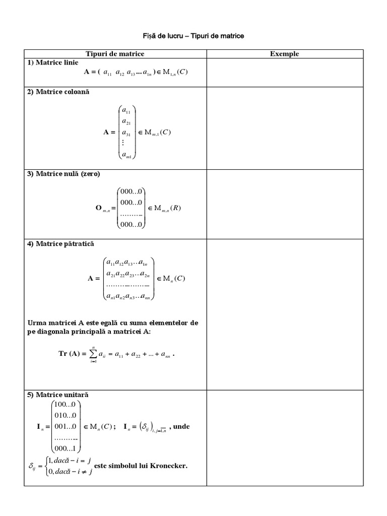 Tipuri de Matrice | PDF