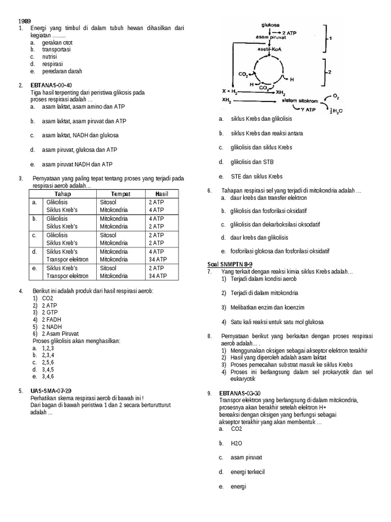 Latihan Soal Katabolisme