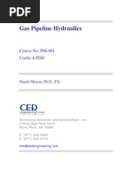 Gas Pipeline Hydraulics