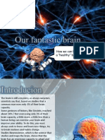 Our Fantastic Brain-bianca Peixinho! (4)