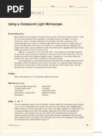 Download L25 Using a Compound Light Microscope Opt by ochattc SN19089140 doc pdf