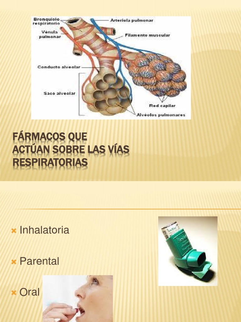 Broncodilatadores y su uso clínico | PDF