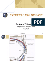 External Eye Disease - AO