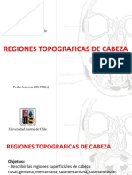 región topografica superficial cabeza head topographic anatomy