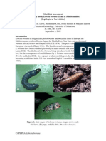 Mini Risk Assessment Grape Berry Moth, Lobesia Botrana (Denis & Schiffermuller) (Lepidoptera: Tortricidae)