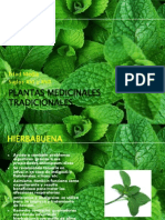 Plantas Medicinales Tradicionales