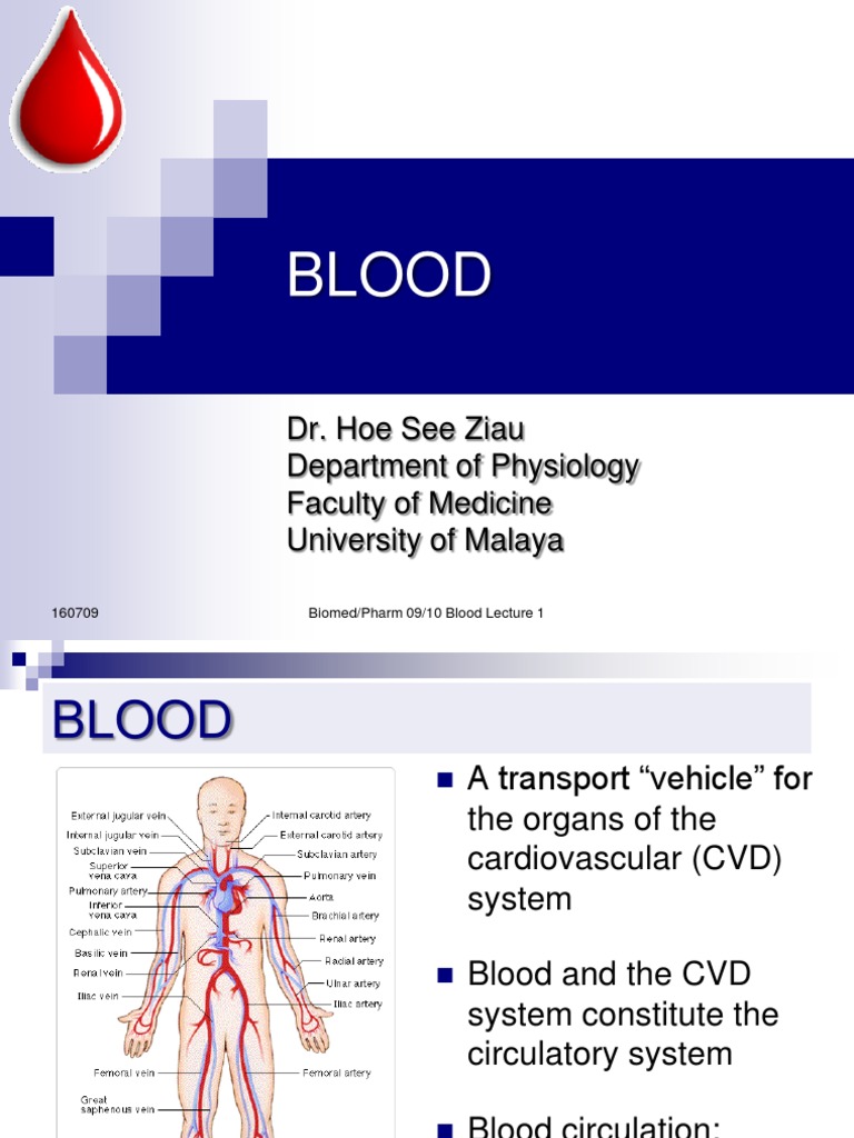 Blood (Part I) | Anemia | Red Blood Cell