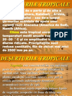 Deserturiletropicale 120704133638 Phpapp02