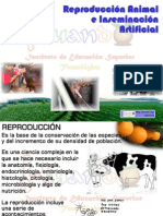 inseminacinartificial-101123163533-phpapp02.pdf