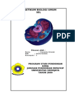 Praktikum Biologi Umum