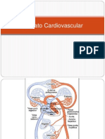 Aparato Cardiovascular.pptx