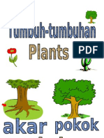 Tumbuh Tumbuhan