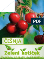 Cesnja