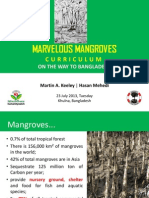 Marvelous Mangroves Curriculum