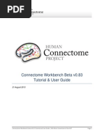 Connectome WB Tutorial UserGuide Beta v0.83