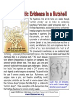 Phylogenetic, Genetic Ev. in A N