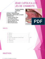 Patología General I - Entrega de Producto Iii - Cáncer Oral