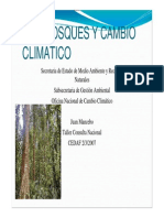 Cambio Climatico