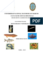 Unmsm Guia Caratula 2013 PDF