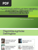 diapos- plaguicidas prohibidos