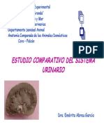 SISTEMA URINARIO-COMPARADA.pdf