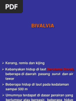 Download Bivalvia Dan Cephalopoda by Jeanette J-Kenichi SN191041028 doc pdf