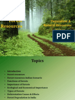 Forest Resources