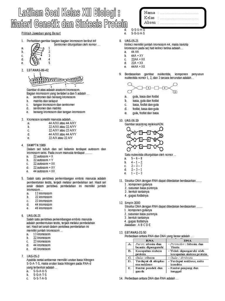 Soal Sbmptn Materi Genetik
