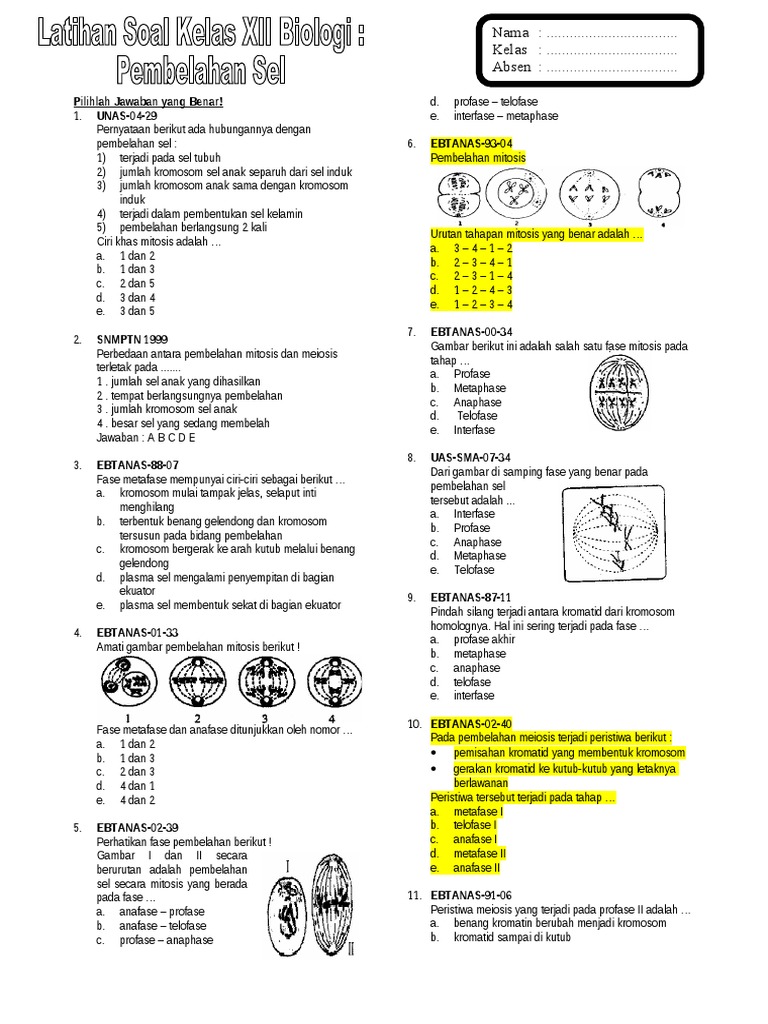 Soal Pembelahan Mitosis Dan Meiosis Kelas 9