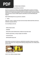 Koleksi Makalah Tentang Sistem Pencernaan Pada Hewan Koleksi Makalah Tentang Sistem Pencernaan Pada Hewan