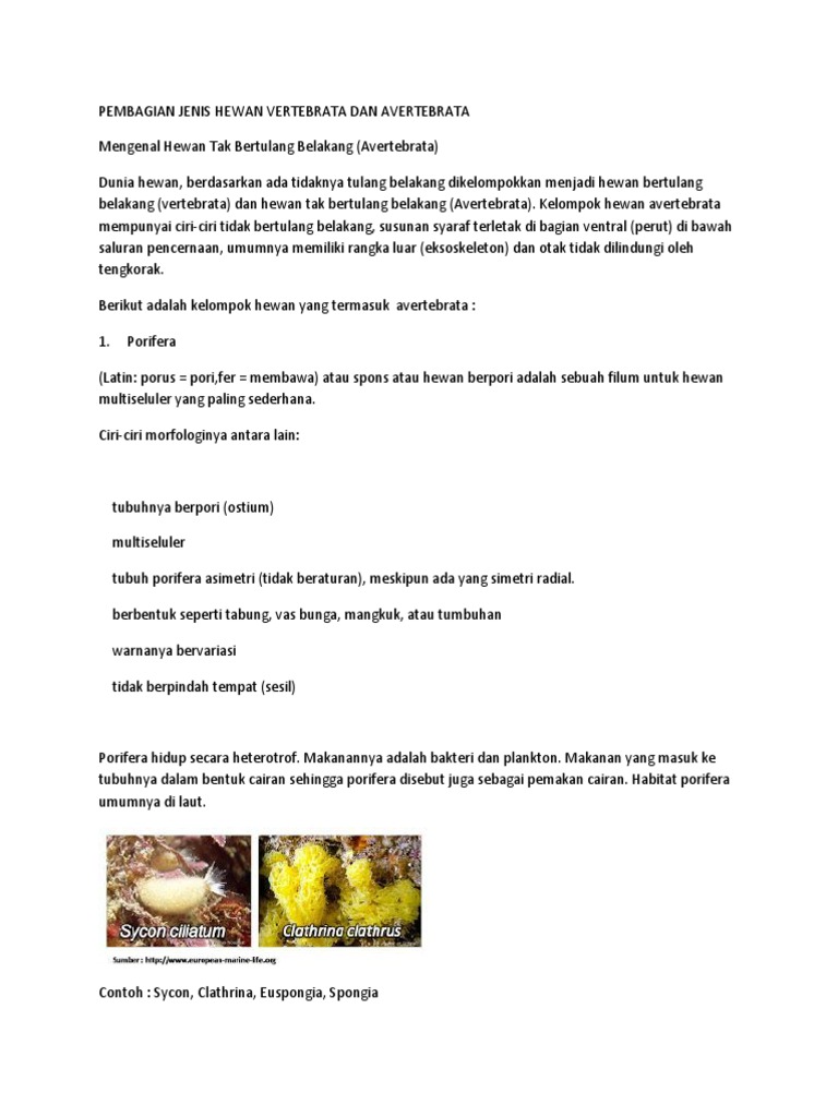 65+ Gambar Hewan Avertebrata Dan Vertebrata Beserta Ciri Cirinya Terbaru