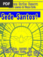 livro_-_sede_santos_porque_o_vosso_pai_que_esta__nos_céus _é_santo (publicar)
