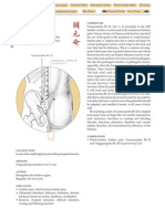 guanyuanshuBL 26