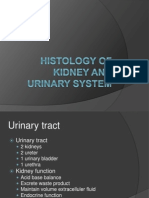 Histology of Kidney and Urinary System