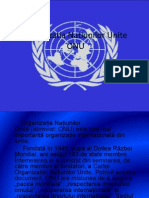 Organizatia Natiunilor Unite ONU