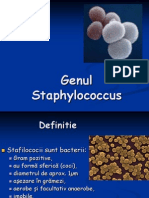 Genul Staphylococcus