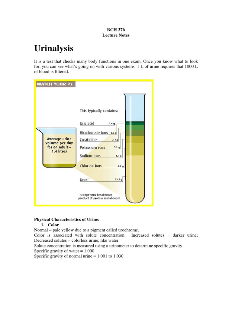 BCH 376 (Urinalysis Lecture Notes) | Urine | Urinary Tract Infection