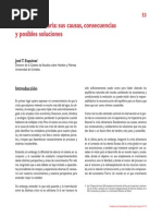 2010. Crisis Alimentaria Sus Causas, Consecuencias y Posibles Soluciones. Fund. BS
