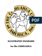 ILLUSTRATED STANDARD for the CHIHUAHUA