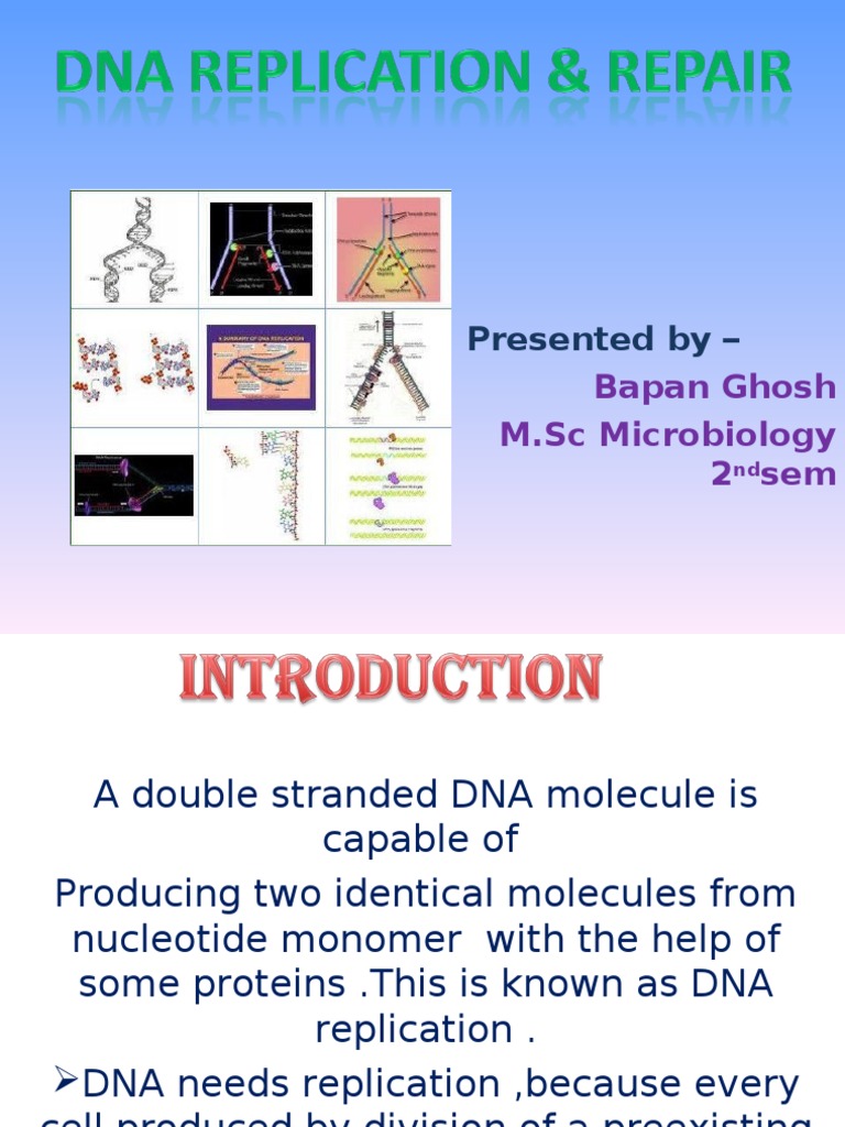 DNA Replication and Repair Mechanisms | PDF | Dna Replication | Dna