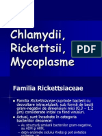 Chlamydia, Rickettsii, Mycoplasme