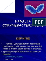 CORYNEBACTERII