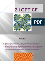 Iluzii Optice (prezentare)